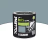 Castorama Peinture Bois Extérieur Premium Acier Satin Tollens 0,5L -Castorama peinture bois exterieur premium acier satin tollens 0 5l3463975037452 02c