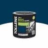 Castorama Peinture Bois Extérieur Premium Nuit Bleue Satin Tollens 0,5L