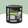 Castorama Peinture Bois Extérieur Premium Vert Olivier Satin Tollens 2L
