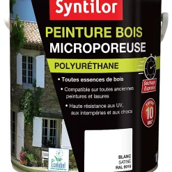 Castorama Peinture Bois Ultra Protect Intérieur Extérieur Blanc Syntilor 5L