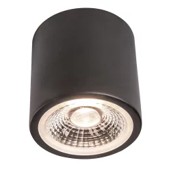 Castorama Spot Encastrable LED Intégrée Hera 850lm 12W IP20 Ø8,5cm Colours Noir